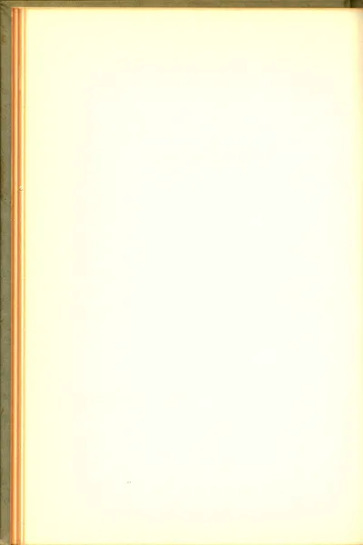"Five Stories" by Nellie Shwayder