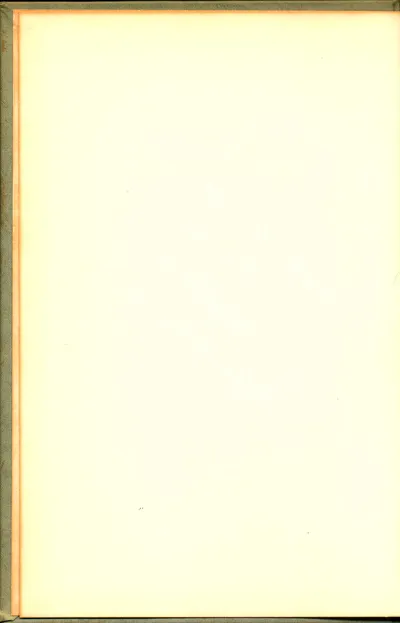 "Five Stories" by Nellie Shwayder