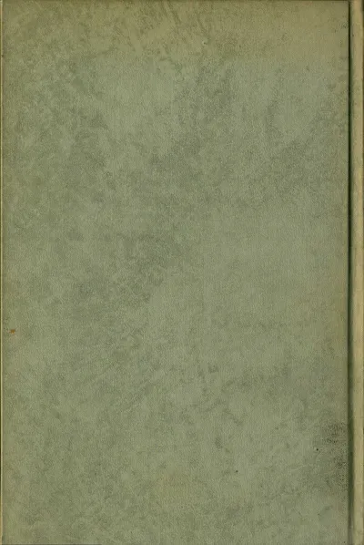 "Five Stories" by Nellie Shwayder