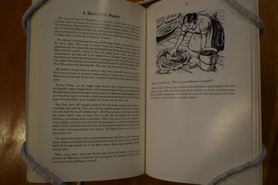 "A Tale of a Little Trunk and Other Stories" by Hannah Shwayder Berry