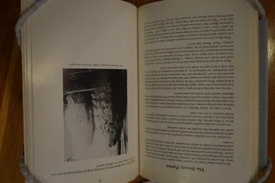"A Tale of a Little Trunk and Other Stories" by Hannah Shwayder Berry