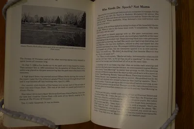 "A Tale of a Little Trunk and Other Stories" by Hannah Shwayder Berry