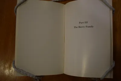 "A Tale of a Little Trunk and Other Stories" by Hannah Shwayder Berry
