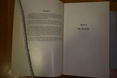 "A Tale of a Little Trunk and Other Stories" by Hannah Shwayder Berry